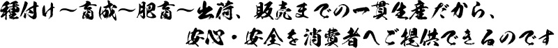 種付け～育成～肥育～出荷、販売までの一貫生産だから、安心・安全を消費者へご提供できるのです